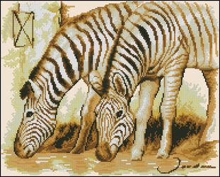 Зебры-Vervaco