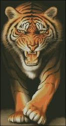Тигр-Золотое Руно